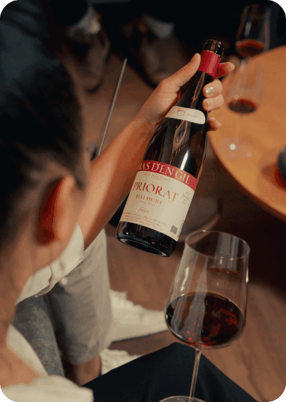 WSET Level 4 Diploma