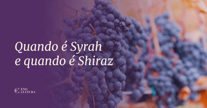 Quando é SYRAH e quando é SHIRAZ?