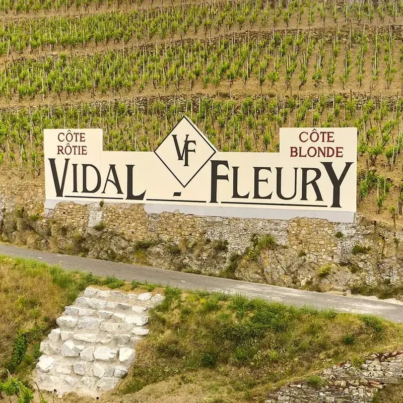 Workshop Vidal-fleury